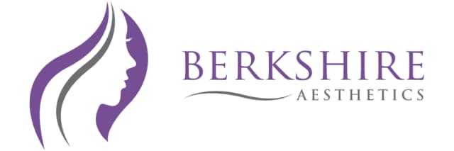 Berkshire Aesthetics